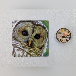 Barred Owl Magnet